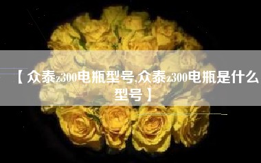 【众泰z300电瓶型号,众泰z300电瓶是什么型号】