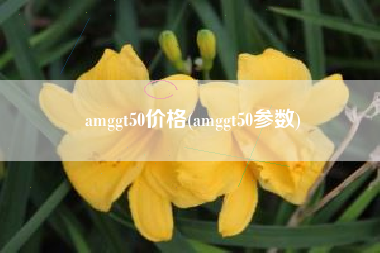 amggt50价格(amggt50参数)