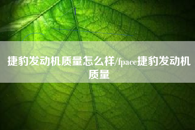 捷豹发动机质量怎么样/fpace捷豹发动机质量