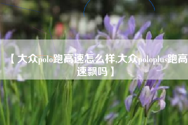 【大众polo跑高速怎么样,大众poloplus跑高速飘吗】