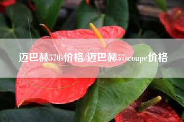 迈巴赫570s价格/迈巴赫57scoupe价格