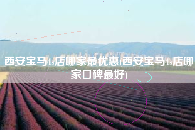 西安宝马4s店哪家最优惠(西安宝马4s店哪家口碑最好) 西安宝马4s店哪家最优惠(西安宝马4s店哪家口碑最好)