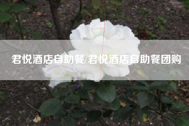 君悦酒店自助餐/君悦酒店自助餐团购