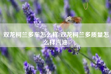 双龙柯兰多车怎么样(双龙柯兰多质量怎么样汽油)