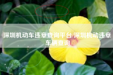 深圳机动车违章查询平台/深圳机动违章车辆查询