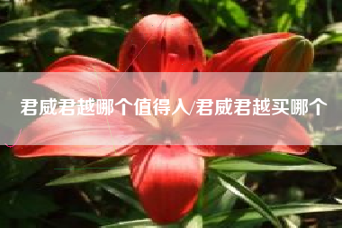 君威君越哪个值得入/君威君越买哪个 君威君越哪个值得入/君威君越买哪个