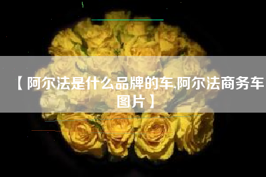 【阿尔法是什么品牌的车,阿尔法商务车图片】