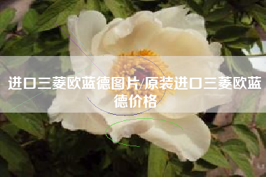 进口三菱欧蓝德图片/原装进口三菱欧蓝德价格