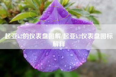 起亚k2的仪表盘图解/起亚k2仪表盘图标解释