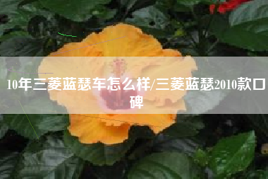 10年三菱蓝瑟车怎么样/三菱蓝瑟2010款口碑