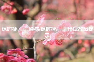 保时捷macan通病(保时捷macan出现故障提示)