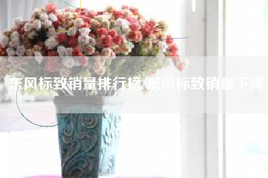 东风标致销量排行榜/东风标致销量下降