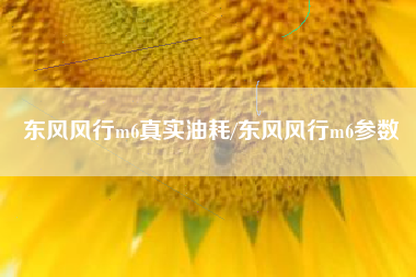 东风风行m6真实油耗/东风风行m6参数