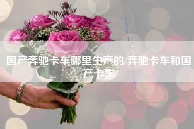 国产奔驰卡车哪里生产的/奔驰卡车和国产卡车