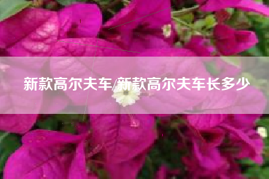 新款高尔夫车/新款高尔夫车长多少 新款高尔夫车/新款高尔夫车长多少