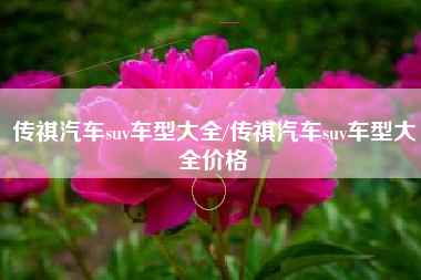 传祺汽车suv车型大全/传祺汽车suv车型大全价格