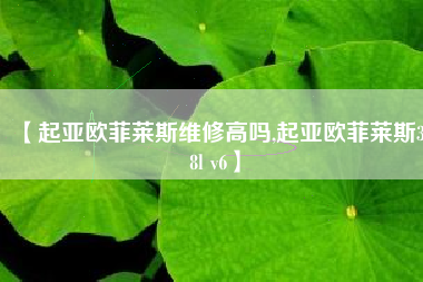 【起亚欧菲莱斯维修高吗,起亚欧菲莱斯38l v6】