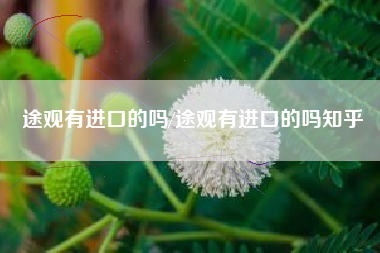 途观有进口的吗/途观有进口的吗知乎