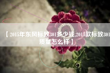 【2015年东风标致301多少钱,2015款标致301质量怎么样】