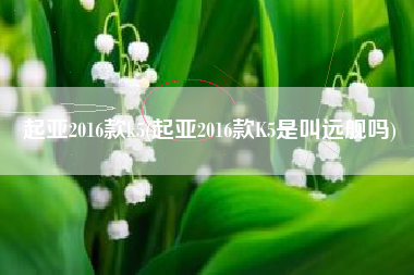 起亚2016款k5(起亚2016款K5是叫远舰吗)