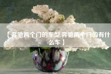 【奔驰两个门的车型,奔驰两个门的有什么车】
