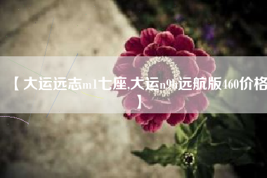 【大运远志m1七座,大运n9h远航版460价格】