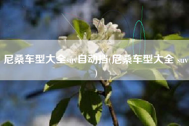 尼桑车型大全suv自动挡(尼桑车型大全 suv)