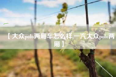 【大众polo两厢车怎么样,一汽大众polo两厢】