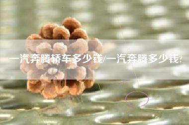 一汽奔腾轿车多少钱/一汽奔腾多少钱?