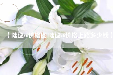 【陆巡v6价格图,陆巡v6价格上路多少钱】