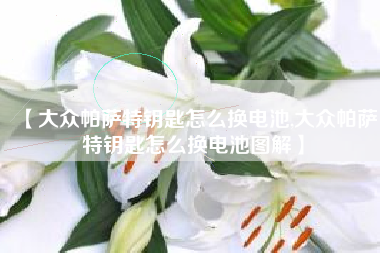 【大众帕萨特钥匙怎么换电池,大众帕萨特钥匙怎么换电池图解】