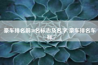 豪车排名前30名标志及名字/豪车排名车标