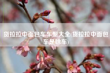 货拉拉中面包车车型大全(货拉拉中面包车是啥车)