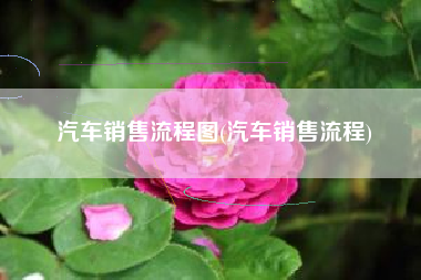 汽车销售流程图(汽车销售流程)