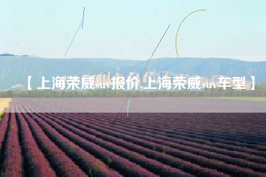 【上海荣威suv报价,上海荣威suv车型】