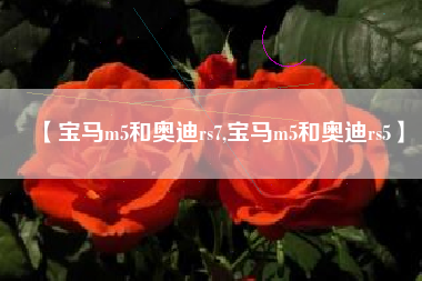 【宝马m5和奥迪rs7,宝马m5和奥迪rs5】