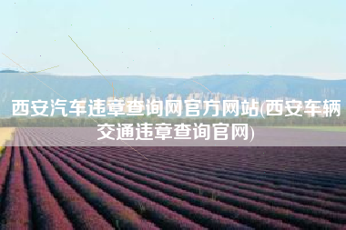 西安汽车违章查询网官方网站(西安车辆交通违章查询官网)