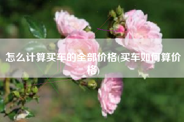 怎么计算买车的全部价格(买车如何算价格)