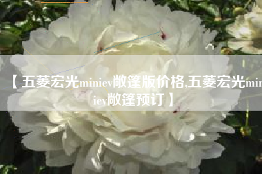 【五菱宏光miniev敞篷版价格,五菱宏光miniev敞篷预订】