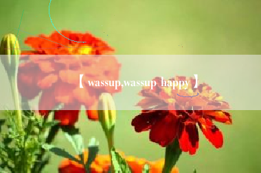 【wassup,wassup happy】