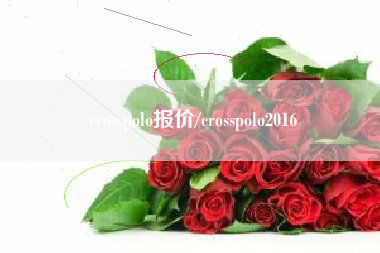 crosspolo报价/crosspolo2016