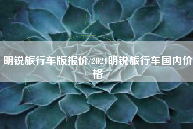 明锐旅行车版报价/2021明锐旅行车国内价格