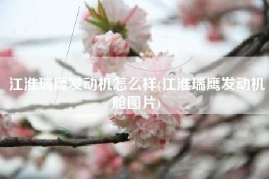 江淮瑞鹰发动机怎么样(江淮瑞鹰发动机舱图片)