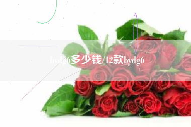 bydg6多少钱/12款bydg6