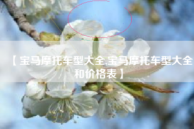 【宝马摩托车型大全,宝马摩托车型大全和价格表】