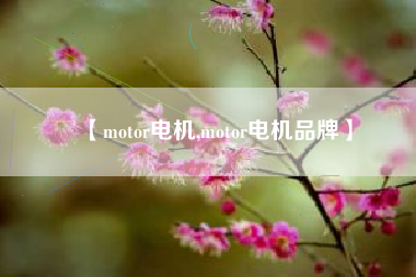 【motor电机,motor电机品牌】
