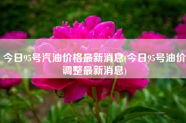 今日95号汽油价格最新消息(今日95号油价调整最新消息) 今日95号汽油价格最新消息(今日95号油价调整最新消息)