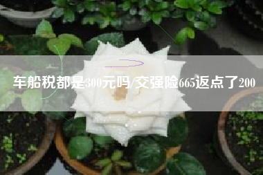 车船税都是300元吗/交强险665返点了200 车船税都是300元吗/交强险665返点了200