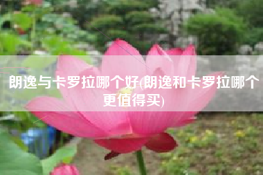 朗逸与卡罗拉哪个好(朗逸和卡罗拉哪个更值得买)