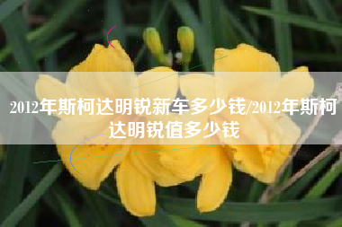 2012年斯柯达明锐新车多少钱/2012年斯柯达明锐值多少钱